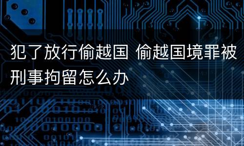 犯了放行偷越国 偷越国境罪被刑事拘留怎么办