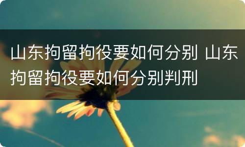 山东拘留拘役要如何分别 山东拘留拘役要如何分别判刑