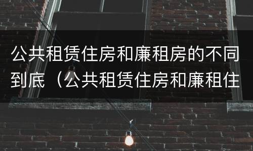 公共租赁住房和廉租房的不同到底（公共租赁住房和廉租住房并轨运行）