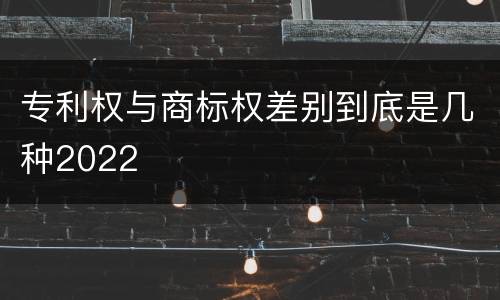 专利权与商标权差别到底是几种2022