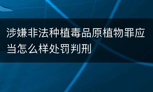 涉嫌非法种植毒品原植物罪应当怎么样处罚判刑