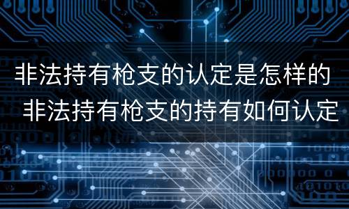 非法持有枪支的认定是怎样的 非法持有枪支的持有如何认定