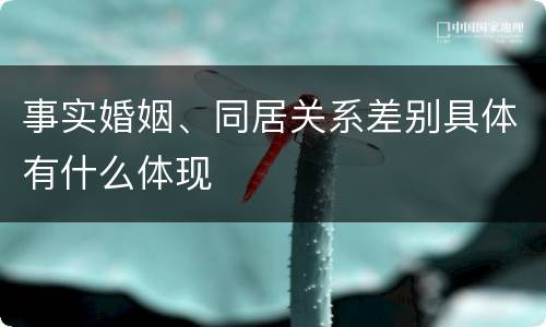 事实婚姻、同居关系差别具体有什么体现