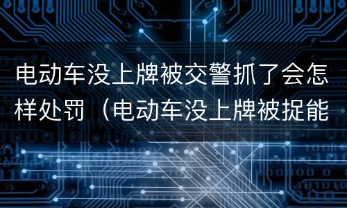 电动车没上牌被交警抓了会怎样处罚（电动车没上牌被捉能拿回来么）