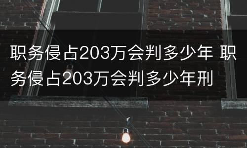 职务侵占203万会判多少年 职务侵占203万会判多少年刑