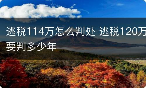 逃税114万怎么判处 逃税120万要判多少年