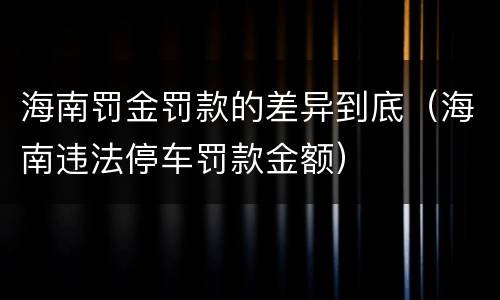 海南罚金罚款的差异到底（海南违法停车罚款金额）