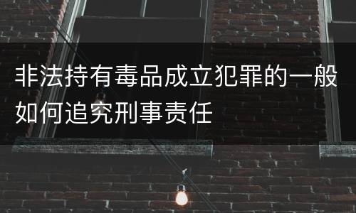 非法持有毒品成立犯罪的一般如何追究刑事责任