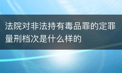 法院对非法持有毒品罪的定罪量刑档次是什么样的