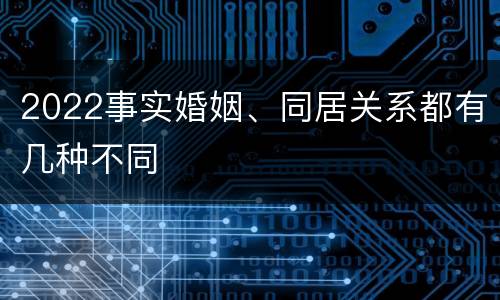 2022事实婚姻、同居关系都有几种不同