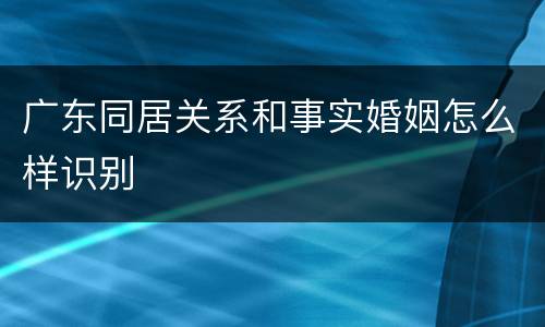 广东同居关系和事实婚姻怎么样识别