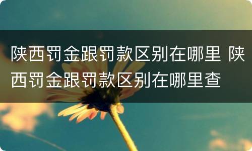 陕西罚金跟罚款区别在哪里 陕西罚金跟罚款区别在哪里查