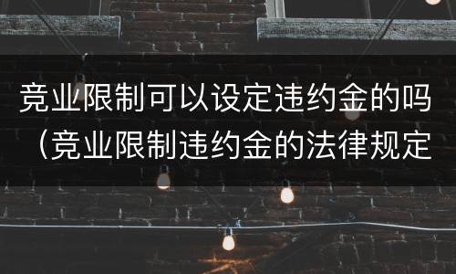 竞业限制可以设定违约金的吗（竞业限制违约金的法律规定）