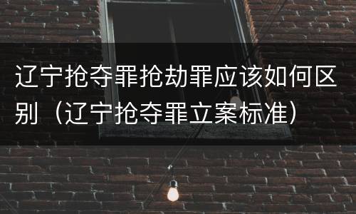 辽宁抢夺罪抢劫罪应该如何区别（辽宁抢夺罪立案标准）