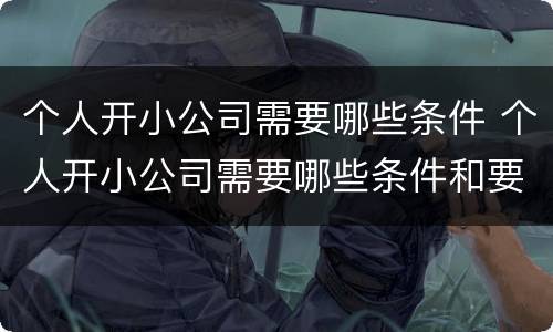 个人开小公司需要哪些条件 个人开小公司需要哪些条件和要求