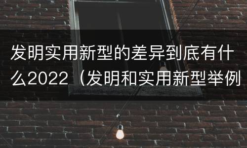 发明实用新型的差异到底有什么2022（发明和实用新型举例）