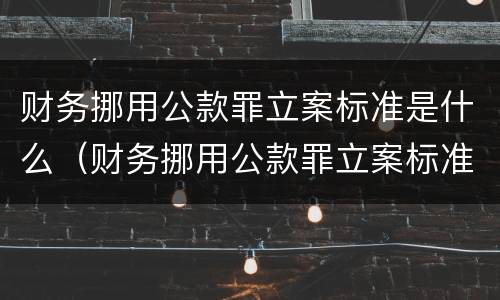 财务挪用公款罪立案标准是什么（财务挪用公款罪立案标准是什么意思）