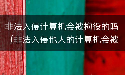 非法入侵计算机会被拘役的吗（非法入侵他人的计算机会被怎么判刑?）