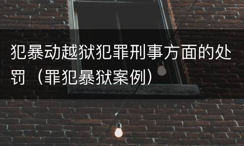 犯暴动越狱犯罪刑事方面的处罚（罪犯暴狱案例）