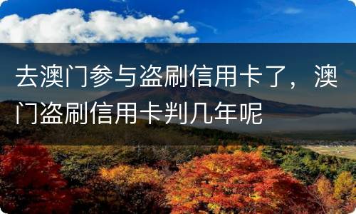 去澳门参与盗刷信用卡了，澳门盗刷信用卡判几年呢