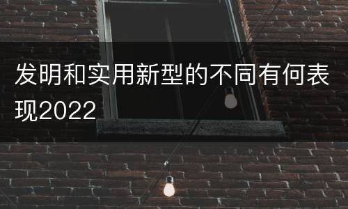 发明和实用新型的不同有何表现2022