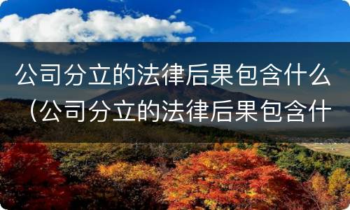 公司分立的法律后果包含什么（公司分立的法律后果包含什么内容）