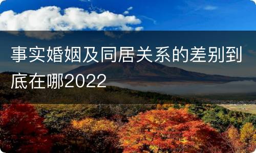 事实婚姻及同居关系的差别到底在哪2022