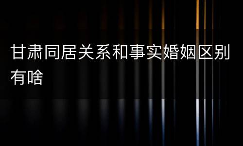 甘肃同居关系和事实婚姻区别有啥