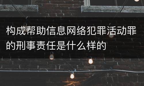 构成帮助信息网络犯罪活动罪的刑事责任是什么样的