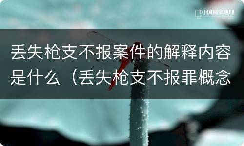 丢失枪支不报案件的解释内容是什么（丢失枪支不报罪概念）