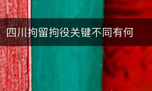 四川拘留拘役关键不同有何