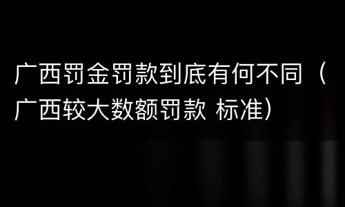 广西罚金罚款到底有何不同（广西较大数额罚款 标准）