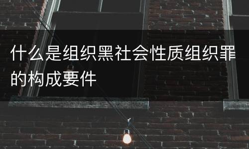 什么是组织黑社会性质组织罪的构成要件