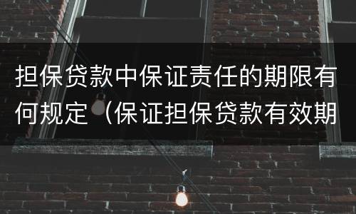 担保贷款中保证责任的期限有何规定（保证担保贷款有效期是多少年?）