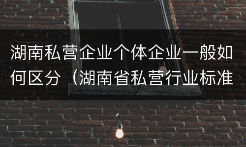 湖南私营企业个体企业一般如何区分（湖南省私营行业标准）