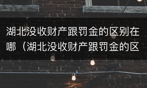 湖北没收财产跟罚金的区别在哪（湖北没收财产跟罚金的区别在哪查）