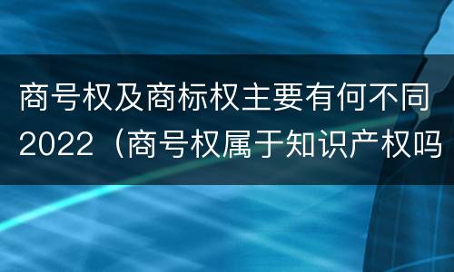 商号权及商标权主要有何不同2022（商号权属于知识产权吗）