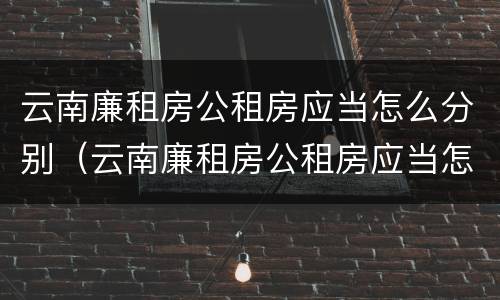 云南廉租房公租房应当怎么分别（云南廉租房公租房应当怎么分别选房）