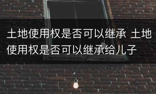 土地使用权是否可以继承 土地使用权是否可以继承给儿子