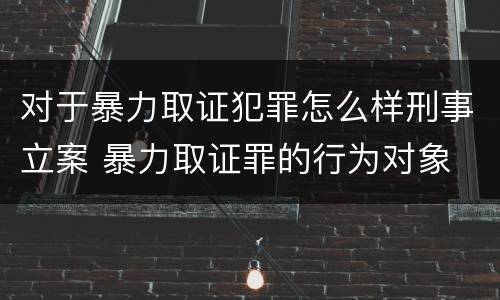 对于暴力取证犯罪怎么样刑事立案 暴力取证罪的行为对象