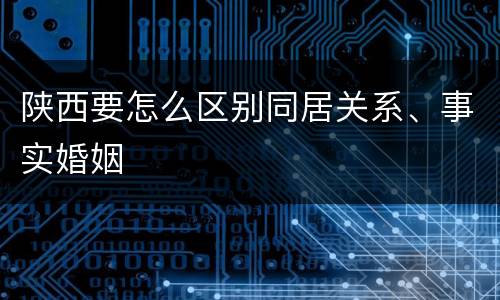 陕西要怎么区别同居关系、事实婚姻