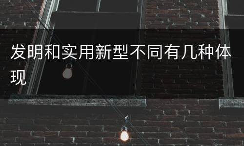 发明和实用新型不同有几种体现