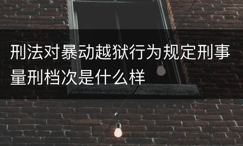 刑法对暴动越狱行为规定刑事量刑档次是什么样