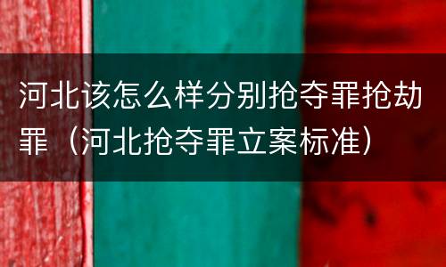 河北该怎么样分别抢夺罪抢劫罪（河北抢夺罪立案标准）