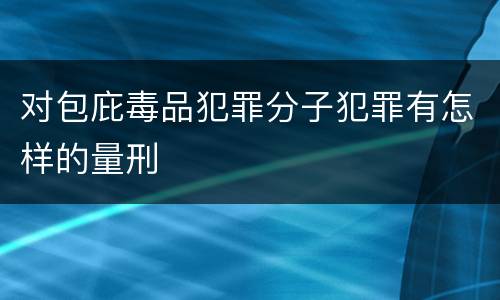 对包庇毒品犯罪分子犯罪有怎样的量刑