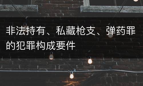 非法持有、私藏枪支、弹药罪的犯罪构成要件