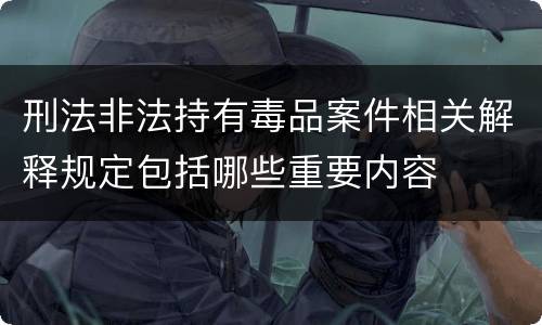 刑法非法持有毒品案件相关解释规定包括哪些重要内容