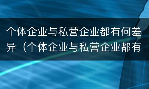 个体企业与私营企业都有何差异（个体企业与私营企业都有何差异呢）