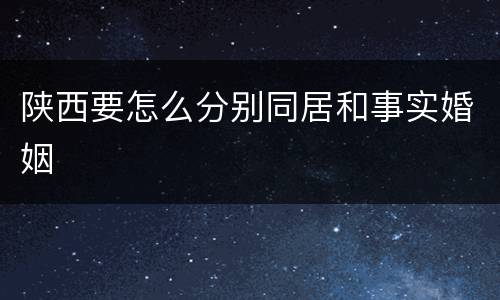 陕西要怎么分别同居和事实婚姻