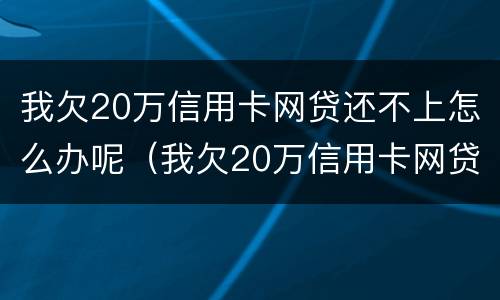 我欠20万信用卡网贷还不上怎么办呢（我欠20万信用卡网贷还不上怎么办呢视频）